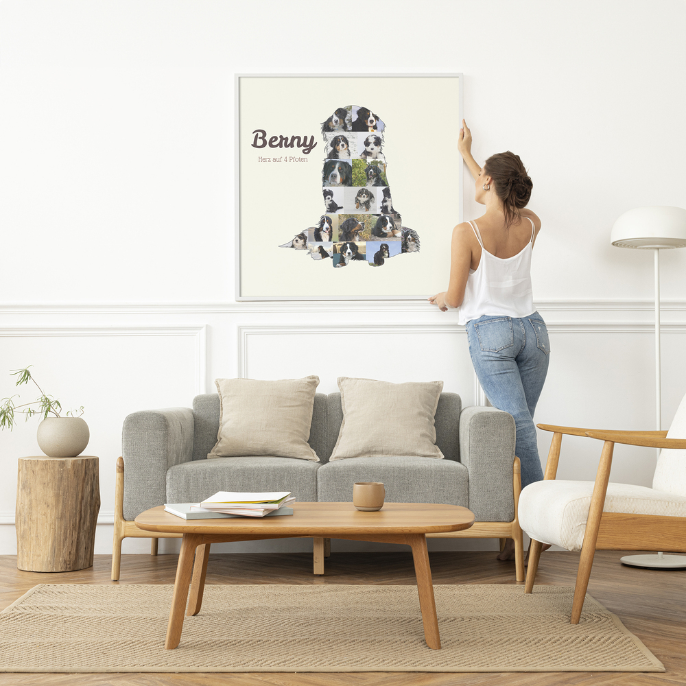 Collage di foto di bovaro del Bernese seduto con nome, in cornice bianca sopra un divano grigio in un salotto luminoso