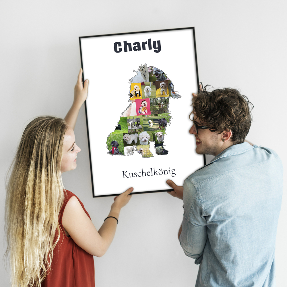 Bolonka-Zwetna-Fotocollage mit Namen und Spruch im schwarzen Rahmen an der Wand, Geschenk für Hundefreunde
