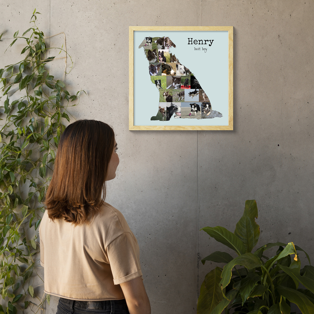 Personalisierte Border-Collie-Fotocollage mit sitzender Silhouette im hellen Holzrahmen an einer Betonwand