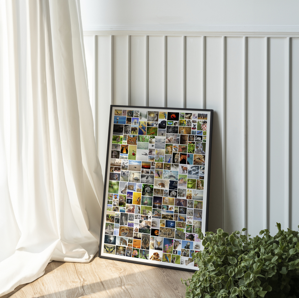 Fotocollage mit vielen Naturfotos im schwarzen Rahmen, neben dem Fenster an eine vertäfelte Wand gelehnt