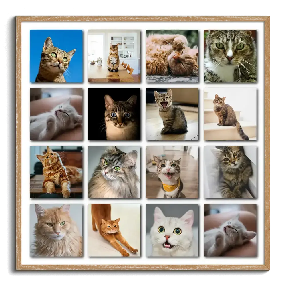 Fotocollage mit 16 Katzenfotos im Raster mit Schatten, im Naturholzrahmen als Geschenk für Katzenfreunde