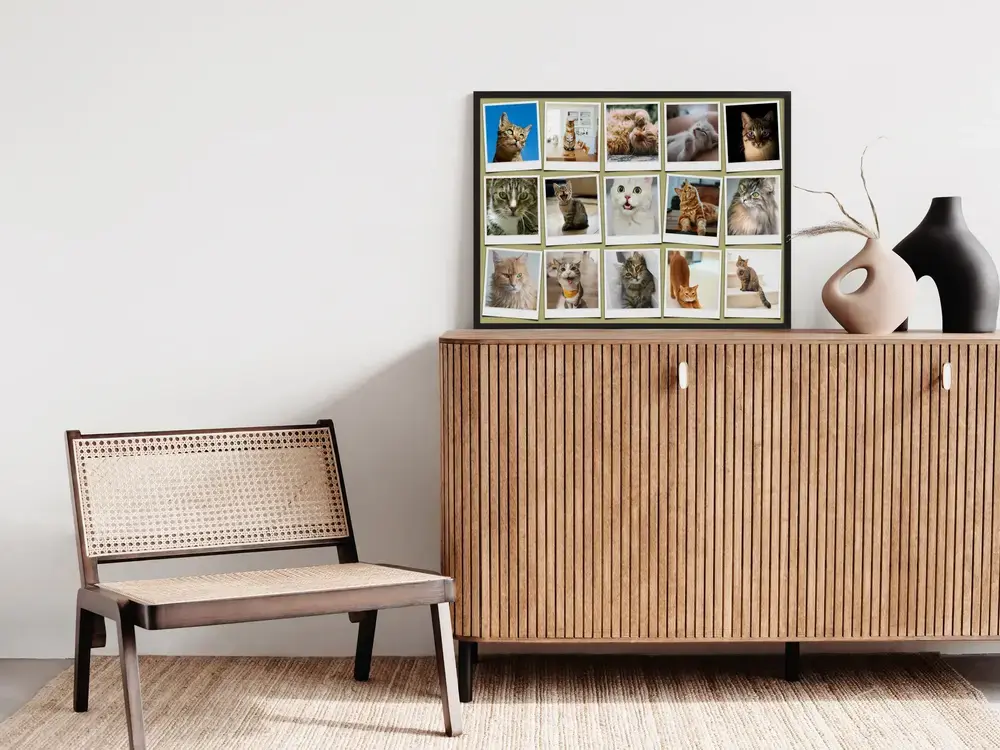 Collage aus 15 Katzenfotos im Polaroid-Stil auf Olivgrün, schwarz gerahmt auf einem Holzsideboard