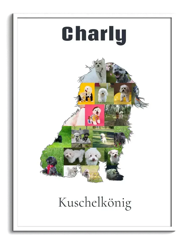 Fotocollage als sitzende Bolonka-Zwetna-Silhouette mit Namen und Spruch im weissen Rahmen für Hundefreunde