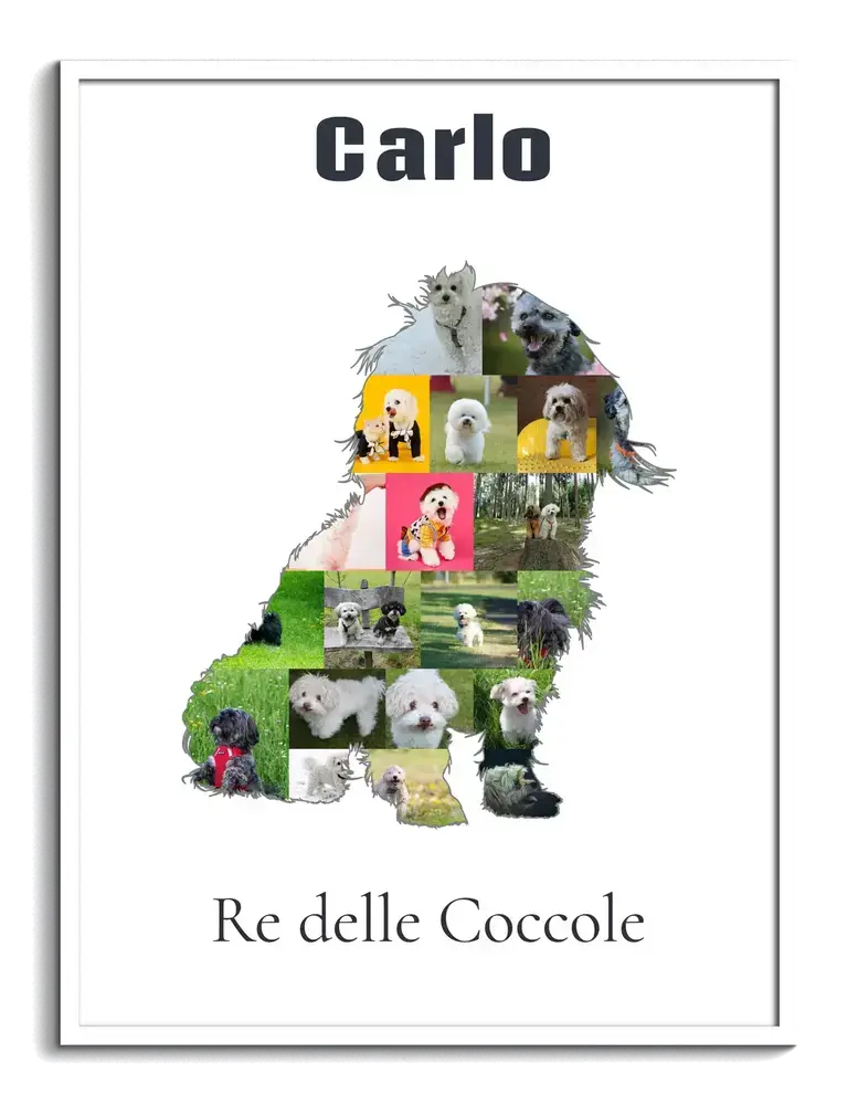 Collage fotografico a forma di Bolonka Zwetna con nome e frase, in cornice bianca, per chi ama i cani
