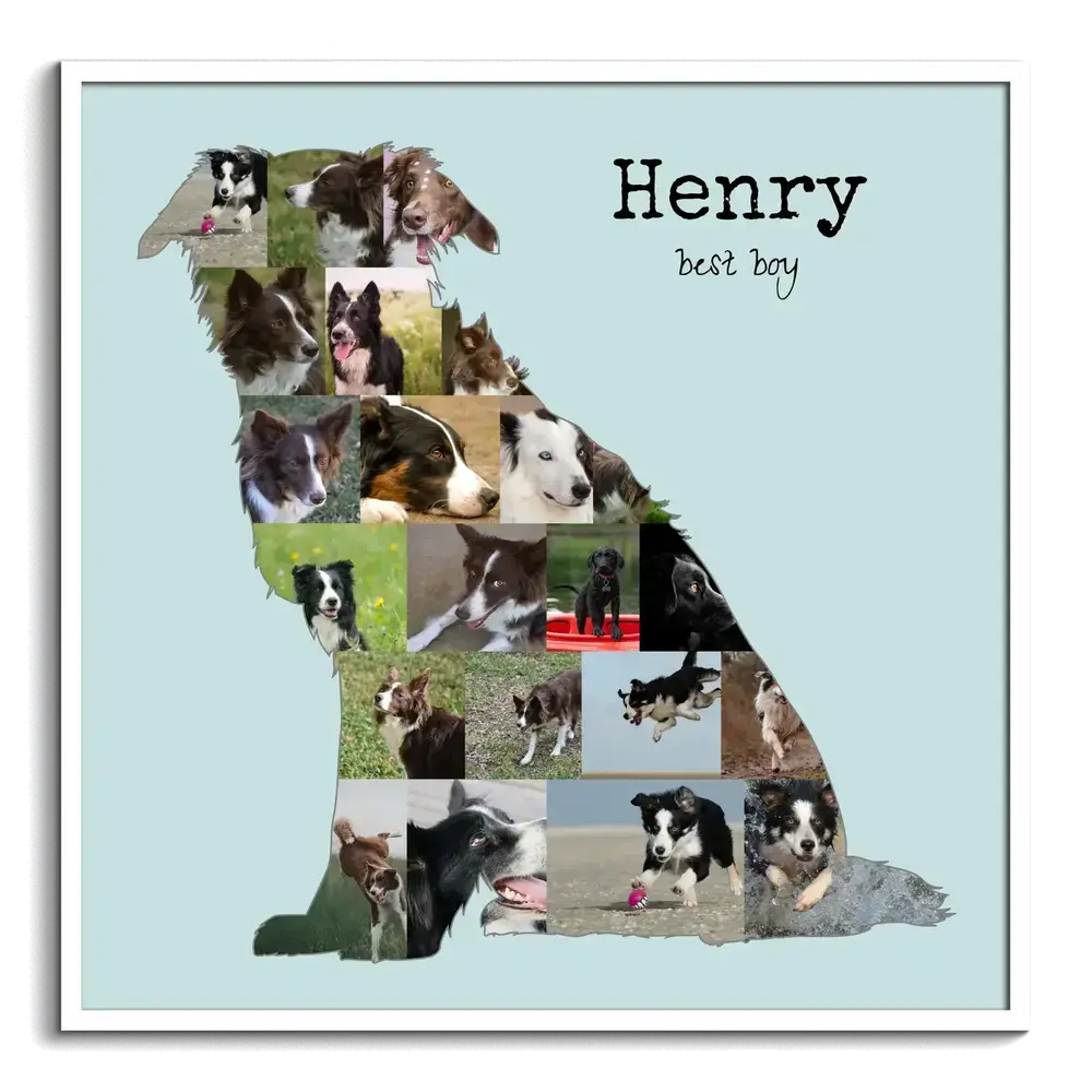 Sitzender Border Collie als Fotocollage mit Namen auf Hellblau im weissen Rahmen, Geschenk für Hundehalter