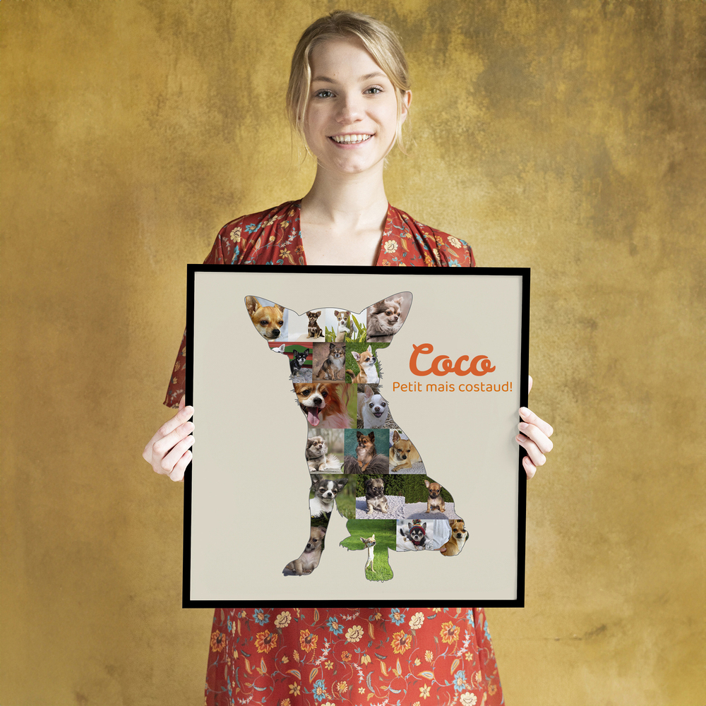 Collage photo en forme de chihuahua, avec prénom orange sur fond beige, dans un cadre noir devant un mur ocre