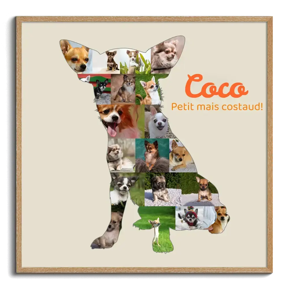 Collage photo en forme de chihuahua sur fond beige, avec prénom orange et cadre en bois naturel