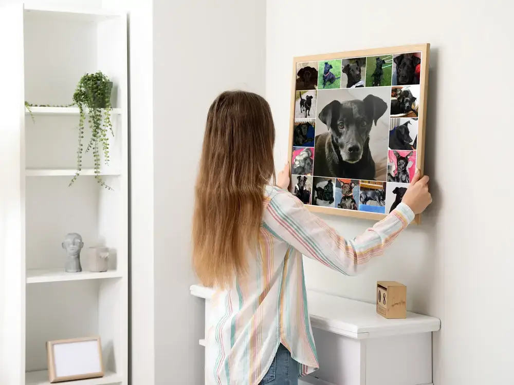 Collage di foto di un cane nero con cornice in legno sopra una cassettiera, regalo per chi ama i cani