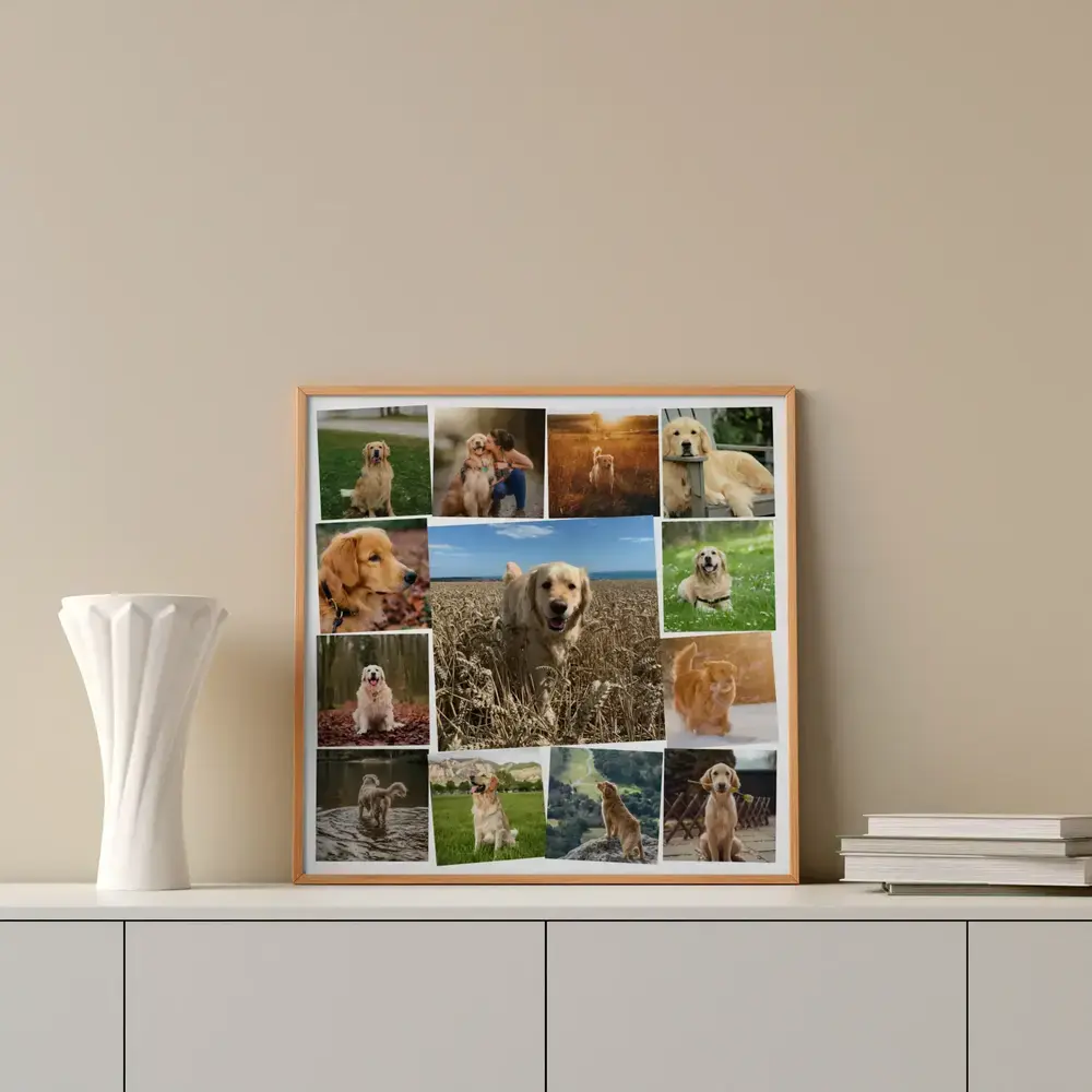 Collage di foto di golden retriever con cornice in legno su una credenza bianca, accanto a un vaso e a libri