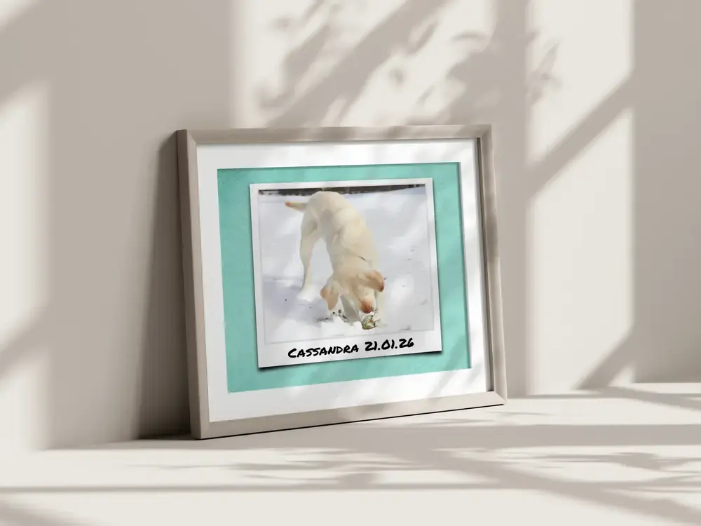 Photo de chien façon Polaroid sur fond turquoise avec prénom et date, encadrée et appuyée contre un mur ensoleillé