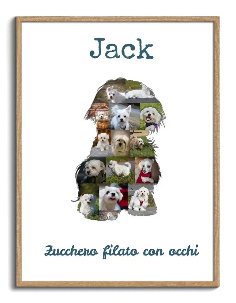 Collage di foto a forma di maltese seduto, con nome e frase su fondo bianco, in cornice di legno naturale