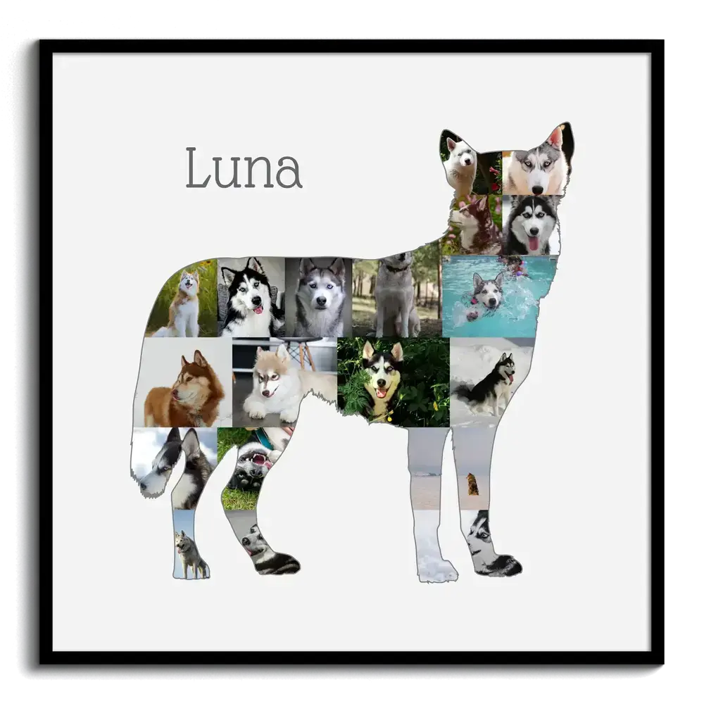 Fotocollage als stehende Husky-Silhouette mit Namen im schwarzen Rahmen, Geschenk für Hundefreunde