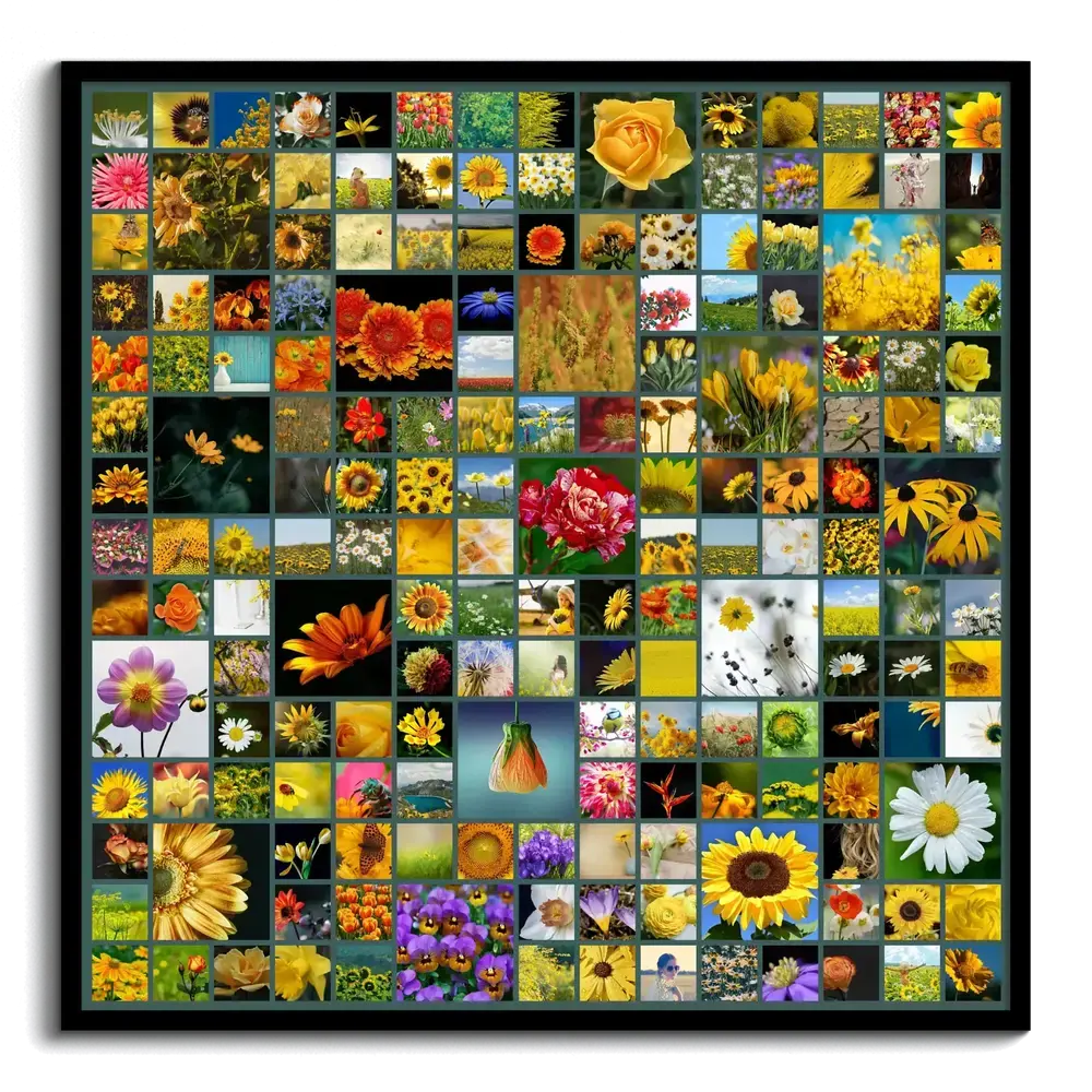 Collage fotografico quadrato con tanti fiori colorati in riquadri di varie dimensioni, con cornice nera