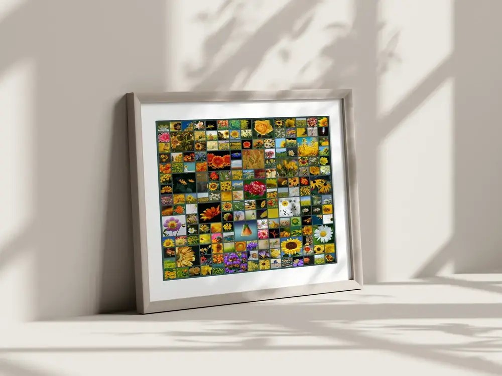 Collage quadrato di foto di fiori con passepartout bianco e cornice chiara, a terra contro una parete al sole