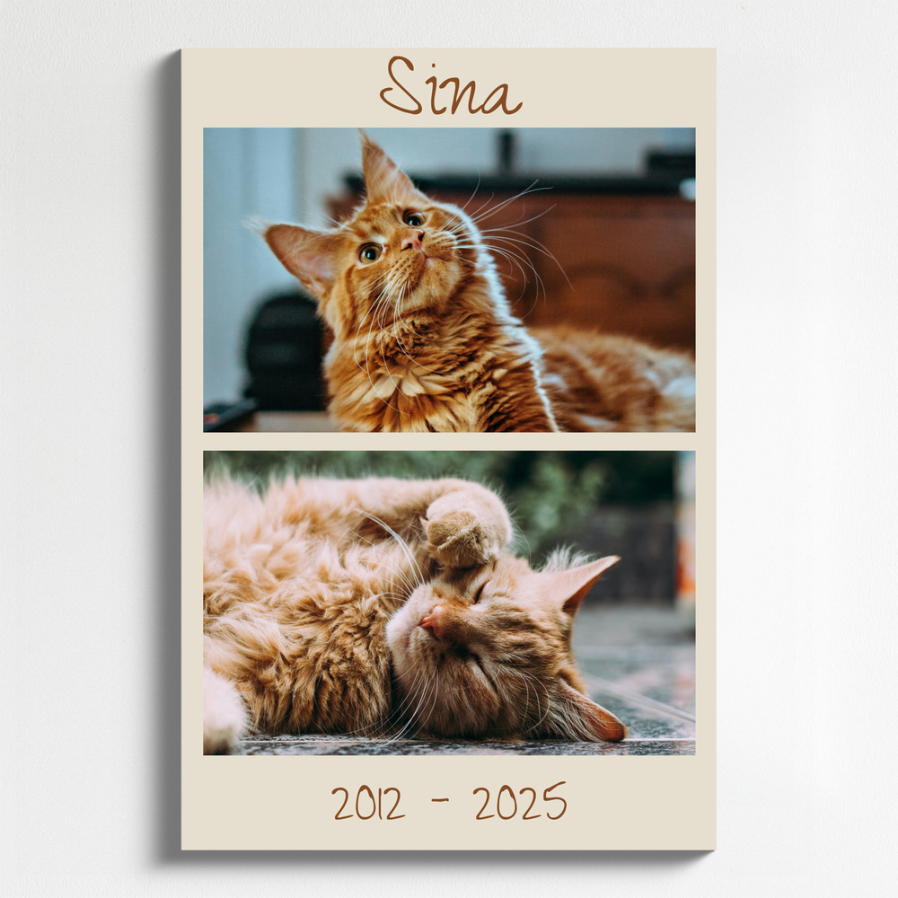 Collage photo souvenir d’un chat sur toile verticale, avec nom et années de vie sur fond beige