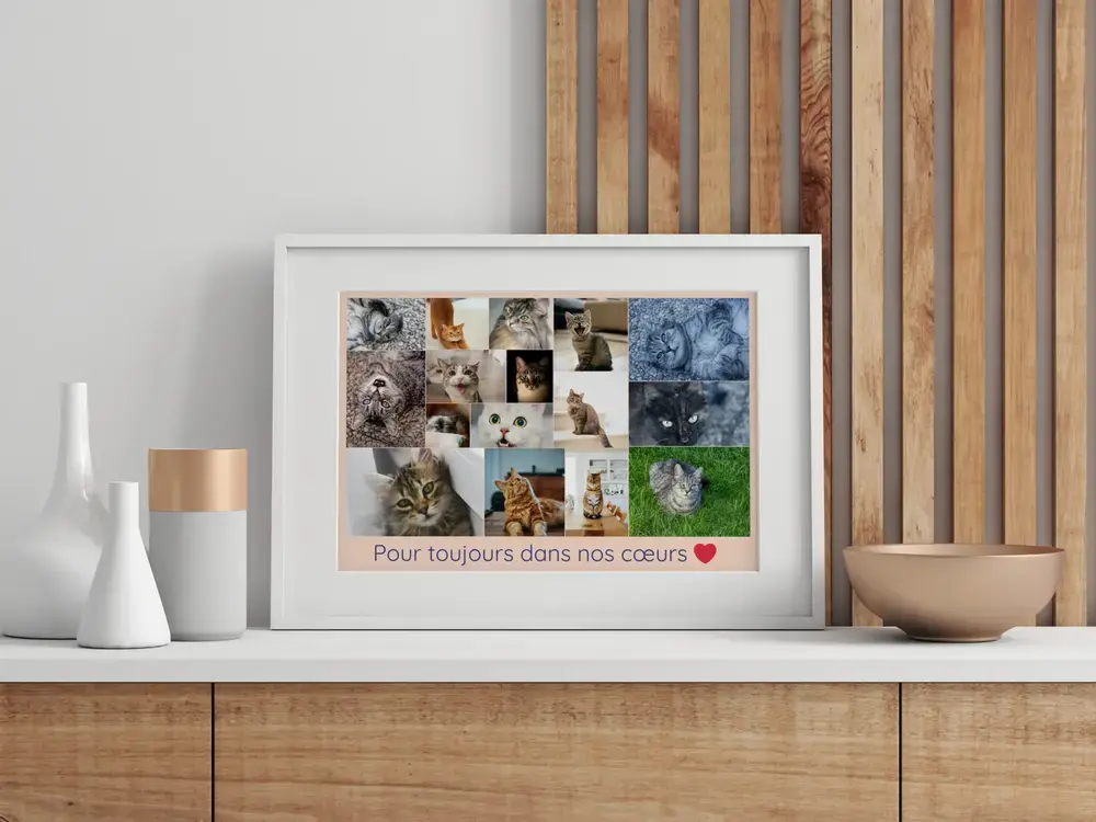 Pêle-mêle photo en souvenir d’un chat avec texte d’hommage, encadré en blanc sur un buffet devant des lattes de bois