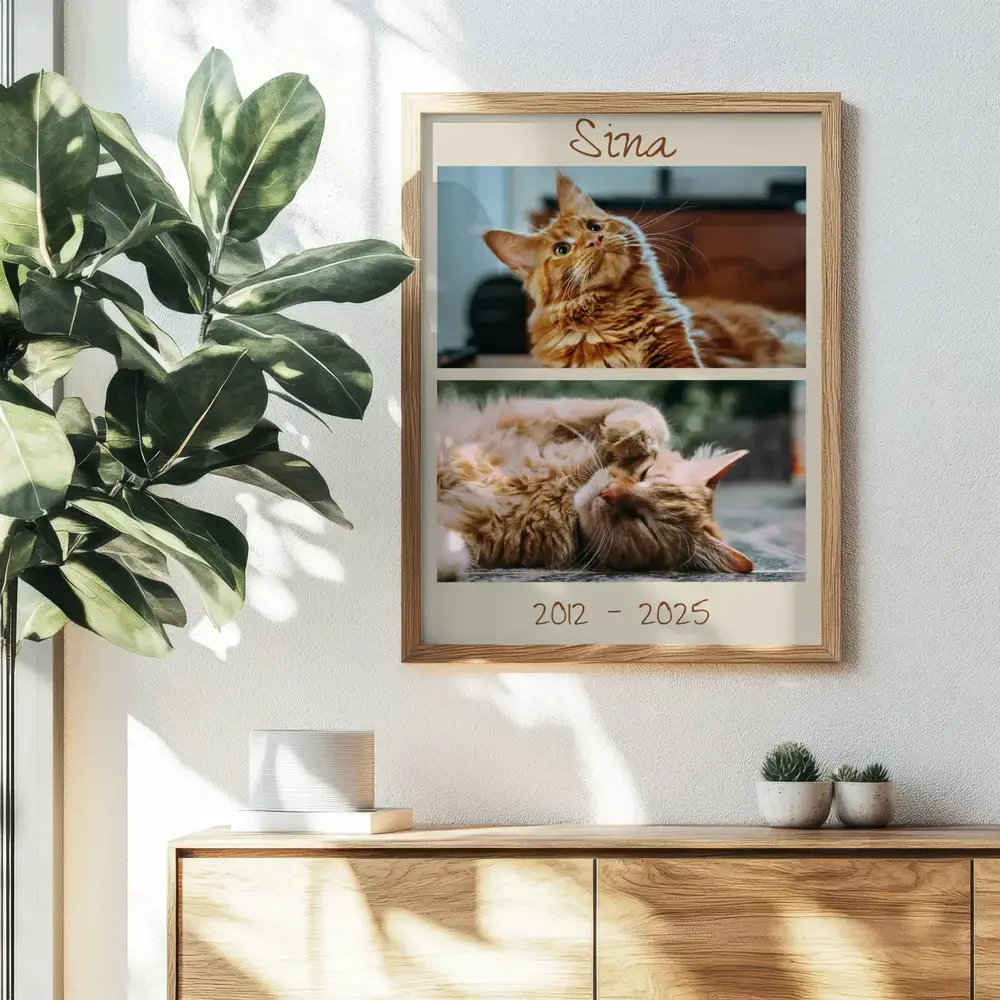 Collage photo en mémoire d’un chat, avec nom et dates, encadré en bois naturel au-dessus d’un buffet près d’une plante
