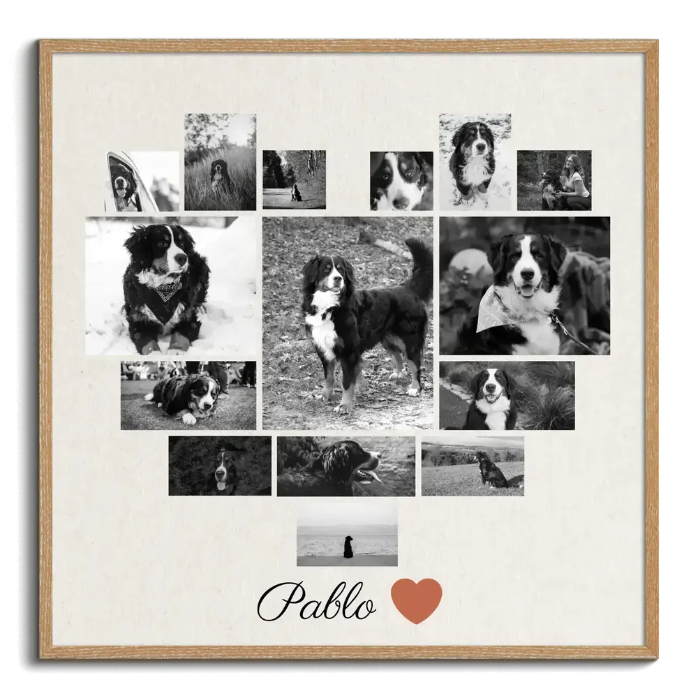 Collage ricordo di un cane con foto in bianco e nero a forma di cuore e nome, in cornice di legno