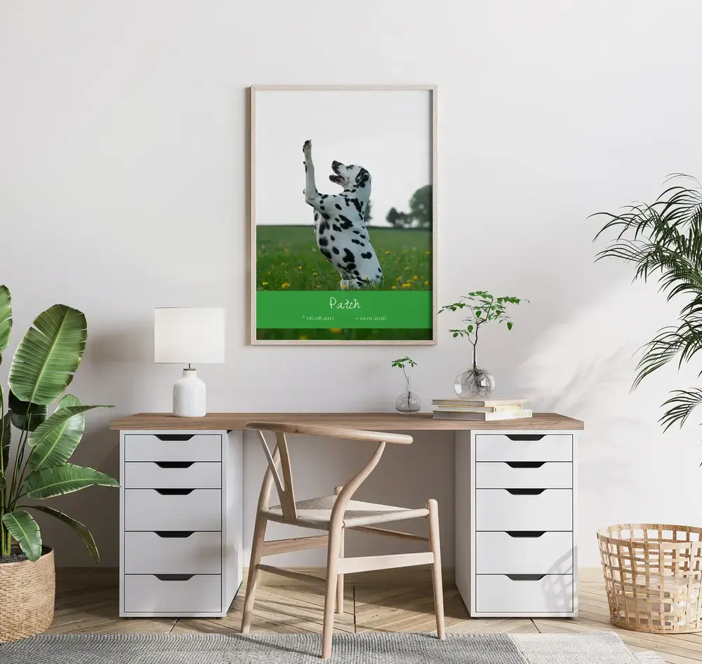 Poster commemorativo per un cane con dalmata e fascia verde, in cornice di legno chiaro sopra la scrivania