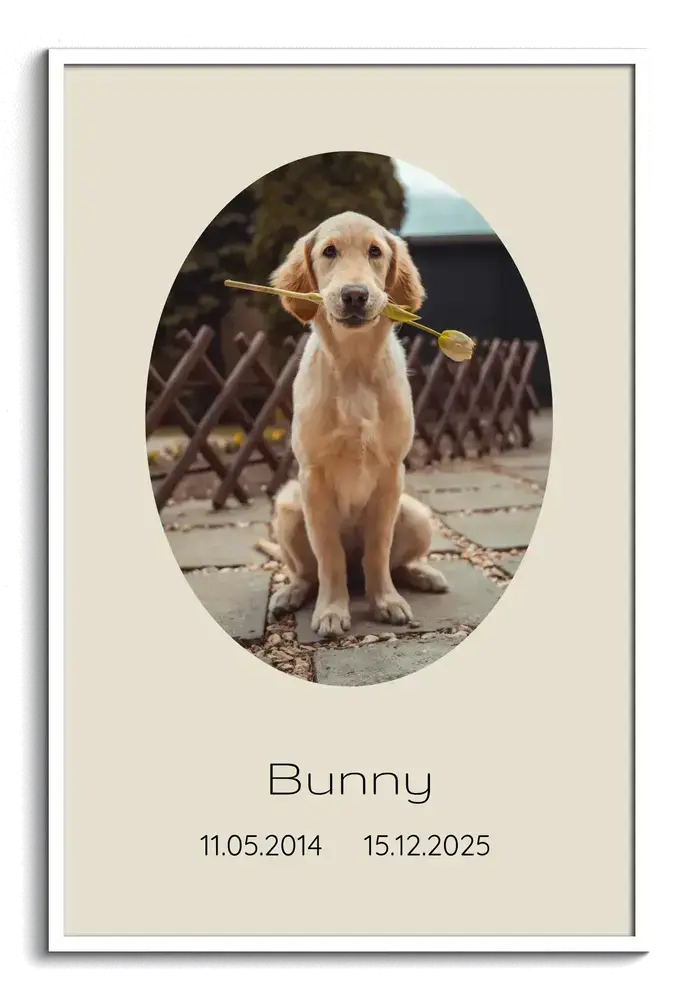Quadro ricordo di un cane con ritratto ovale di golden retriever, nome e date su fondo beige, in cornice bianca