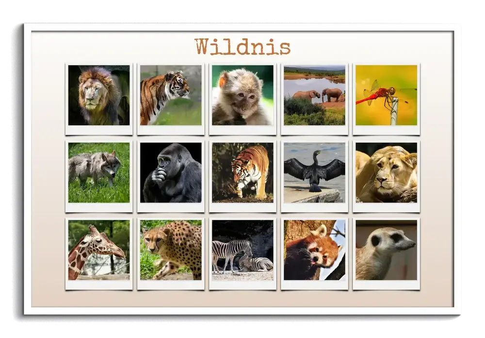 Fotocollage mit 15 Wildtierfotos in Polaroid-Optik und Überschrift, im weissen Querformatrahmen