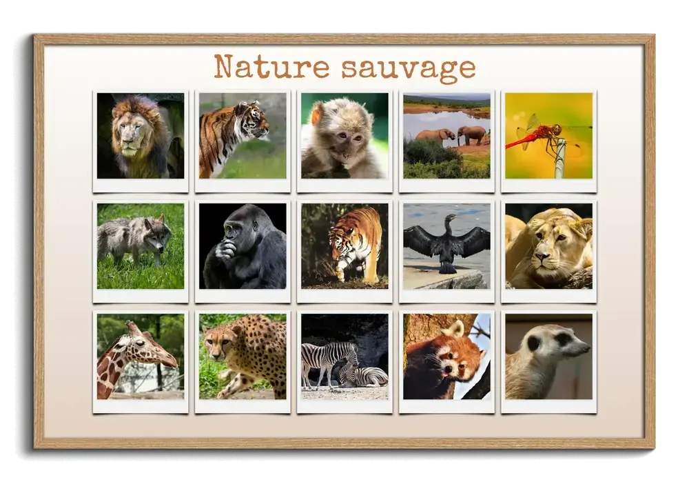 Collage de 15 photos d’animaux sauvages façon Polaroid avec un titre, dans un cadre en bois naturel