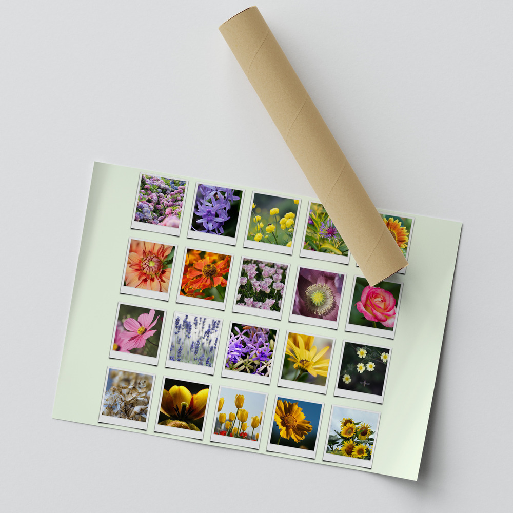 Poster con 20 foto di fiori in una griglia stile Polaroid su verde chiaro, accanto a un tubo da spedizione