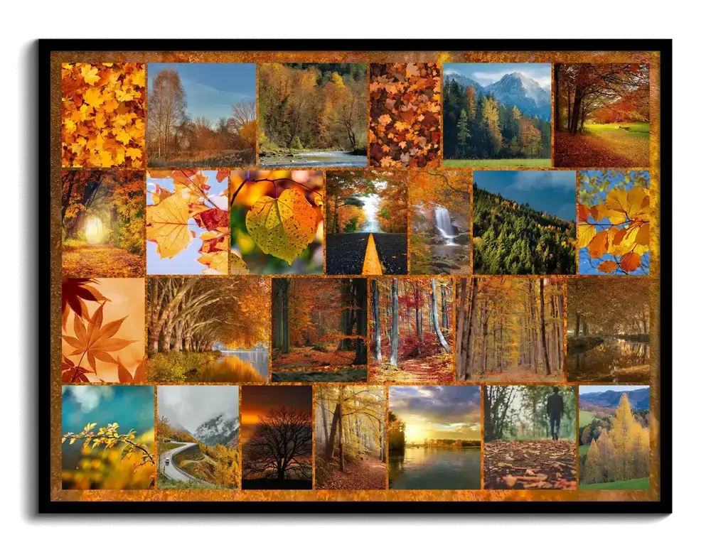 Herbstfotocollage im Querformat mit bunten Blättern, Wäldern und Landschaften als Raster im schwarzen Rahmen