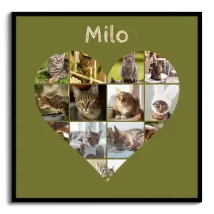 Collage cœur chat avec photos – personnalisez avec nom ou texte