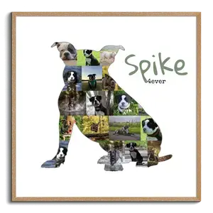 Hunde-Fotocollage "American Bully" erstellen. Eigene Fotos, Namen und Texte.