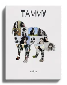 Hunde-Fotocollage "Berner Sennenhund" erstellen. Eigene Fotos, Namen und Texte.