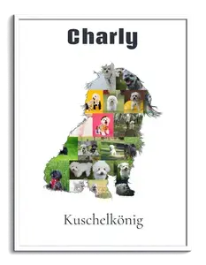 Hunde-Fotocollage "Bolonka Zwetna" erstellen. Eigene Fotos, Namen und Texte.