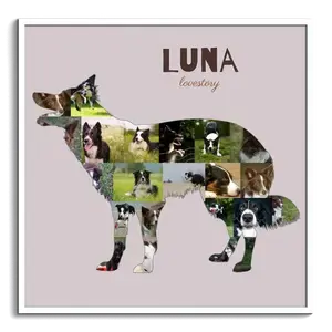 Hunde-Fotocollage "Border Collie" erstellen. Eigene Fotos, Namen und Texte.