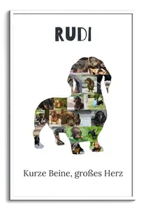 Hunde-Fotocollage "Dackel" erstellen. Eigene Fotos, Namen und Texte.