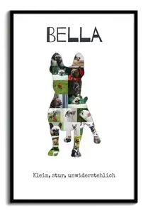Hunde-Fotocollage "Französische Bulldogge" erstellen. Eigene Fotos, Namen und Texte.