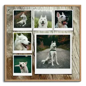 Hunde-Fotocollage gestalten – personalisiert mit Polaroid, Raster oder Text