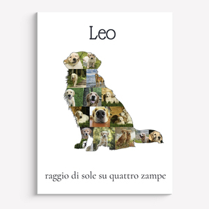 Crea la tua Collage Golden Retriever unica con foto e testo personalizzati!