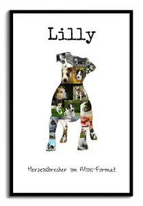Hunde-Fotocollage "Jack Russell Terrier" erstellen. Eigene Fotos, Namen und Texte.