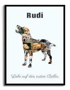 Hunde-Fotocollage "Labrador" erstellen. Eigene Fotos, Namen und Texte.