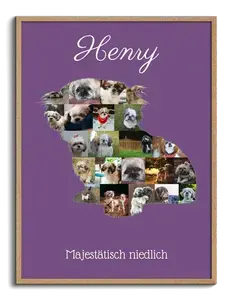 Hunde-Fotocollage "Shih Tzu" erstellen. Eigene Fotos, Namen und Texte.