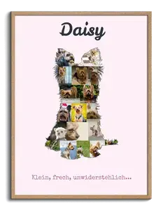 Hunde-Fotocollage "Yorkshire Terrier" erstellen. Eigene Fotos, Namen und Texte.