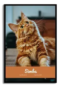 Gedenk-Collage Katze jetzt gestalten – Einzelbild, Textbalken: dein Foto, Name & Daten