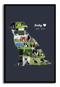 Créez un collage photo chien (silhouette) - hommage personnalisé (nom, années)