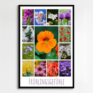 Blumen & Pflanzen Fotocollage – gestalte deinen Premiumdruck als Poster & Leinwand