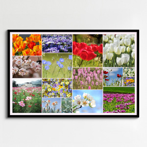Crea il tuo collage foto fiori e piante – stampa premium: rose, tulipani, prati in fiore Crea il tuo collage foto fiori e piante – stampa premium: rose, tulipani, prati in fiore