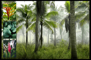 Collage foto natura tropicale – stampa premium: Crea ora palme, foresta pluviale e spiagge Collage foto natura tropicale – stampa premium: Crea ora palme, foresta pluviale e spiagge