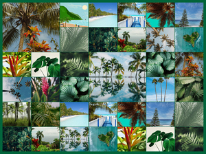 Collage foto natura tropicale – stampa premium: Crea ora palme, foresta pluviale e spiagge Collage foto natura tropicale – stampa premium: Crea ora palme, foresta pluviale e spiagge