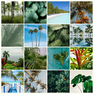 Collage foto natura tropicale – stampa premium: Crea ora palme, foresta pluviale e spiagge Collage foto natura tropicale – stampa premium: Crea ora palme, foresta pluviale e spiagge