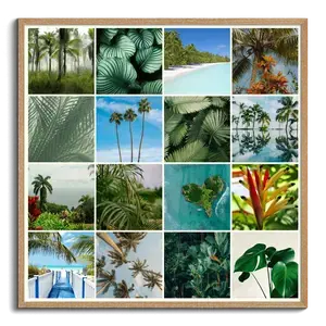 Collage photo Nature tropicale - créez votre impression premium: palmiers, plage, jungle