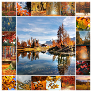 Collage foto natura 4 stagioni - crea e stampa premium con modelli per paesaggi e animali Collage foto natura 4 stagioni - crea e stampa premium con modelli per paesaggi e animali